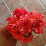 Rosa María Prego Chouza - @pregochouza - Instagram