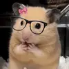 Maria222_pro - @mariangel123389756pro1 - TikTok