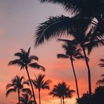 Maria Pro - Facebook