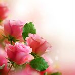 Maria Pro - Facebook