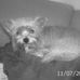 Maria Proffitt - Facebook