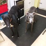 Maria Pugh - @mariapugh741 - Instagram