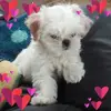 Maria Pugh - @maria.pugh6 - TikTok
