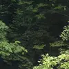 Maria Radovic425 - @malariaaaaaar - TikTok