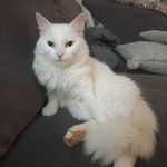 Jacqie Maria Rahaman - @jacqierahaman - Instagram
