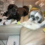 Maria Rainer - @rainer3732 - Instagram