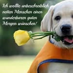 Maria Rainer - @rainer958 - Instagram
