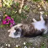 maria.rametta - @maria.rametta - TikTok