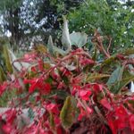Maria Ranallo - @psicologaperte - Instagram