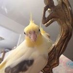 Maria Sbarra Randolph - @randolphmariasbarra - Instagram