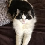 Maria Rayner - @martock71 - Instagram