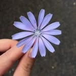 Maria Razzaq - @maria_razzaq_ - Instagram