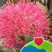 Maria Reamor - Facebook