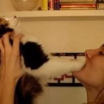 Maria Cardenal Rectoret - @mariacardenalrectoret - Instagram