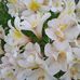 Maria Riordan - Facebook