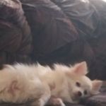 Maria Robison - @maria.robison.796 - Instagram