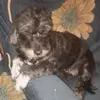 Maria Roccaforte - @maria.roccaforte6 - TikTok
