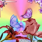 Maria Roccaforte - Facebook