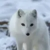 Maria Roll - @марисол - TikTok