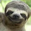 mariamtrollz - @mariamtrolls - TikTok