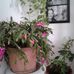 Maria Root - Facebook