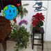 Maria Del Refugio Ruacho Chavez - Facebook