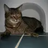 maria - @maria.rucker - TikTok