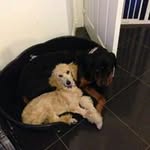 Maria Rudd - @ruddmaria - Instagram