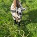 Maria Rudd - Facebook