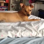 Maria Van Vianen Ryder - @vianenryder - Instagram