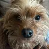 Mariah_Luv_Ryder14 - @i.love.ryder14 - TikTok