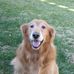 Maria Sais - Facebook