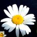 Maria Sais - Facebook
