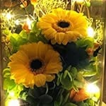🌻HIMAWARI🌻 - @mariasama_777 - Instagram