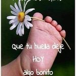 Maria Sampson - @mariasampson17 - Instagram