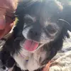 Maria Sampson - @maria.sampson88 - TikTok