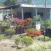 Maria samudio - Facebook