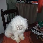 Maria - @maria.sarlo.980 - Instagram