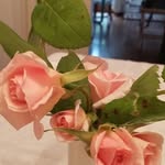 Maria Antonietta Satta - @satta_maria - Instagram