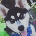 maria sayers - @sayers5678 - Instagram