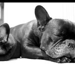 Maria Sayers - @animallover__23 - Instagram