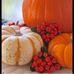 Maria Saylor - Facebook