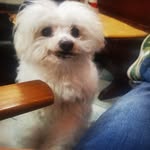Maria Antonietta Scavone - @mariaantoniettascavone - Instagram
