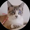 Maria Scavone - @mariascavone - TikTok