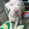adrianamariaschaffer - @adrianamariaschaffer - TikTok
