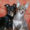 Maria - @mariascheller3 - TikTok