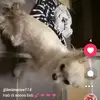 Maria🌹 - @schubert_maria - TikTok