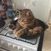 Maria Schulze - @maria.schulzee - TikTok