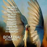 marta maria seelig Salomão - @martamariaseeligsalomao - Instagram