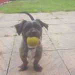 Maria Shields - @shields2821 - Instagram